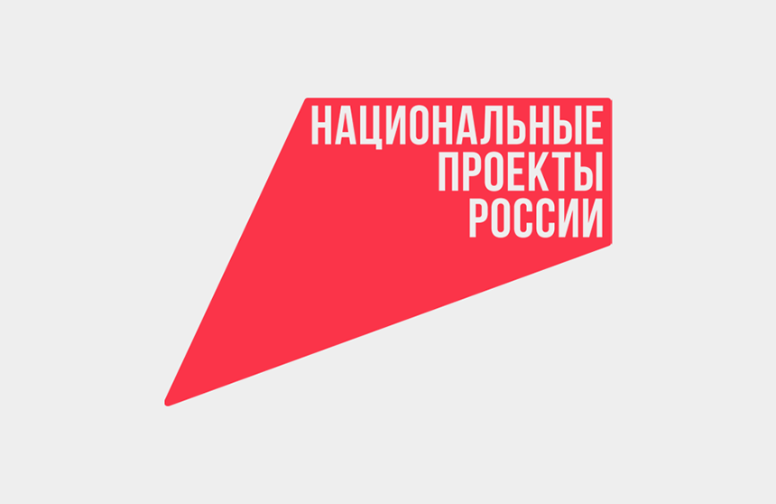 Национальные проекты России