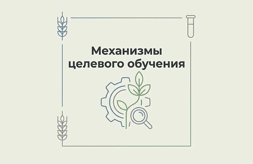 Целевое обучение